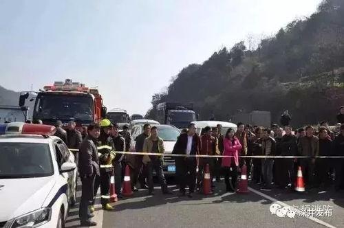 潍坊泰华吃瓜群众事件,网络舆论下的社会现象解析