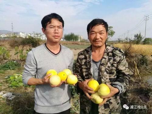 吃瓜群众707号,一场全民围观的热议事件
