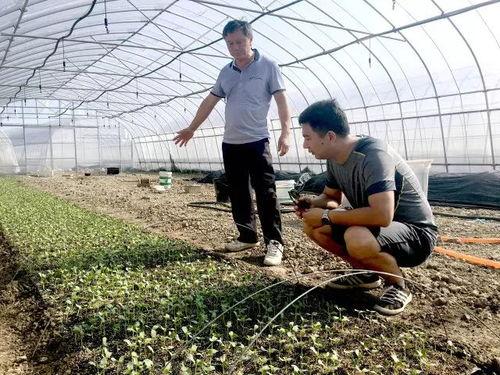 发展中国家吃瓜群众,见证时代变迁的民间视角