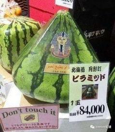 中国人的天性吃瓜群众,中国人的天性与社会现象