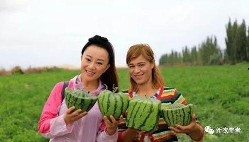 中国人的天性吃瓜群众,中国人的天性与社会现象