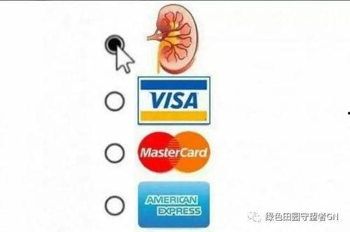廉价吃瓜群众怎么形容,他们眼中的娱乐圈风云