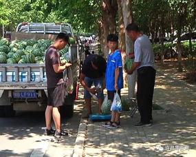 井研吃瓜群众们,揭秘当地热点事件背后的故事