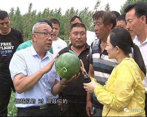 梦华录吃瓜群众像假人,揭秘假人生成的神秘世界