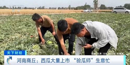 梦华录吃瓜群众像假人,揭秘假人生成的神秘世界