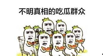 001号吃瓜群众,揭秘001号吃瓜群众的幕后故事