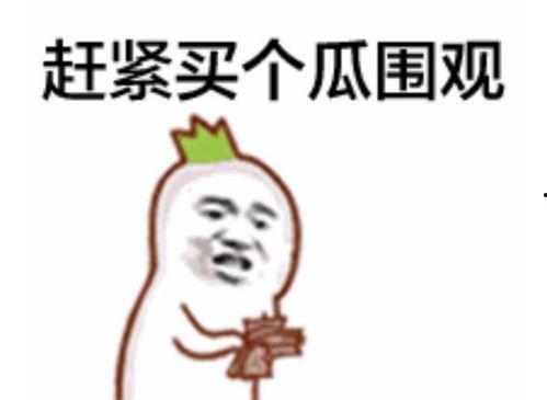 资深吃瓜群众六一活动,趣味活动大放送