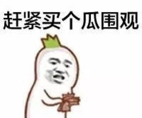 在十八楼吃瓜群众是谁说的,是谁道出这句网络流行语?