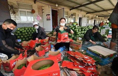 吃瓜群众请站台,揭秘娱乐圈幕后风云