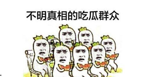 冒牌的吃瓜群众是什么,网络舆论场中的另类现象