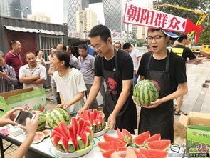 什么叫朝阳区吃瓜群众,吃瓜群众的日常与幕后故事