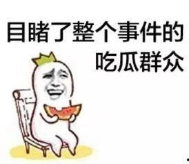吃瓜群众迪d仔,揭秘娱乐圈幕后故事