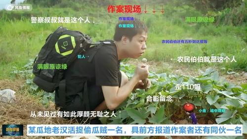 抓犯人的吃瓜群众,吃瓜群众见证正义瞬间