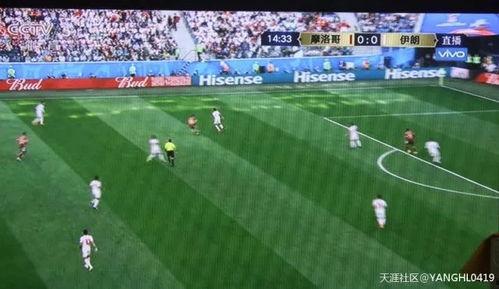 意大利冬奥会吃瓜群众